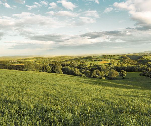GEMEINSAM FÜR ÖSTERREICH – Bio, Vegetarisch & Vegan in AT-Qualität