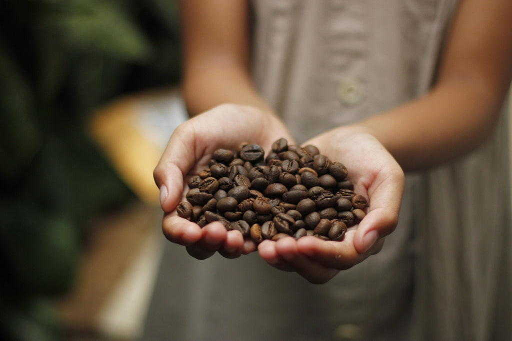 Specialty coffee from Calabria, whole bean, Mauro, 1kg