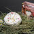 Luxus Bio Käseplatte für 3 Personen