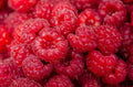 Bio Himbeeren, Portion ca. 90g