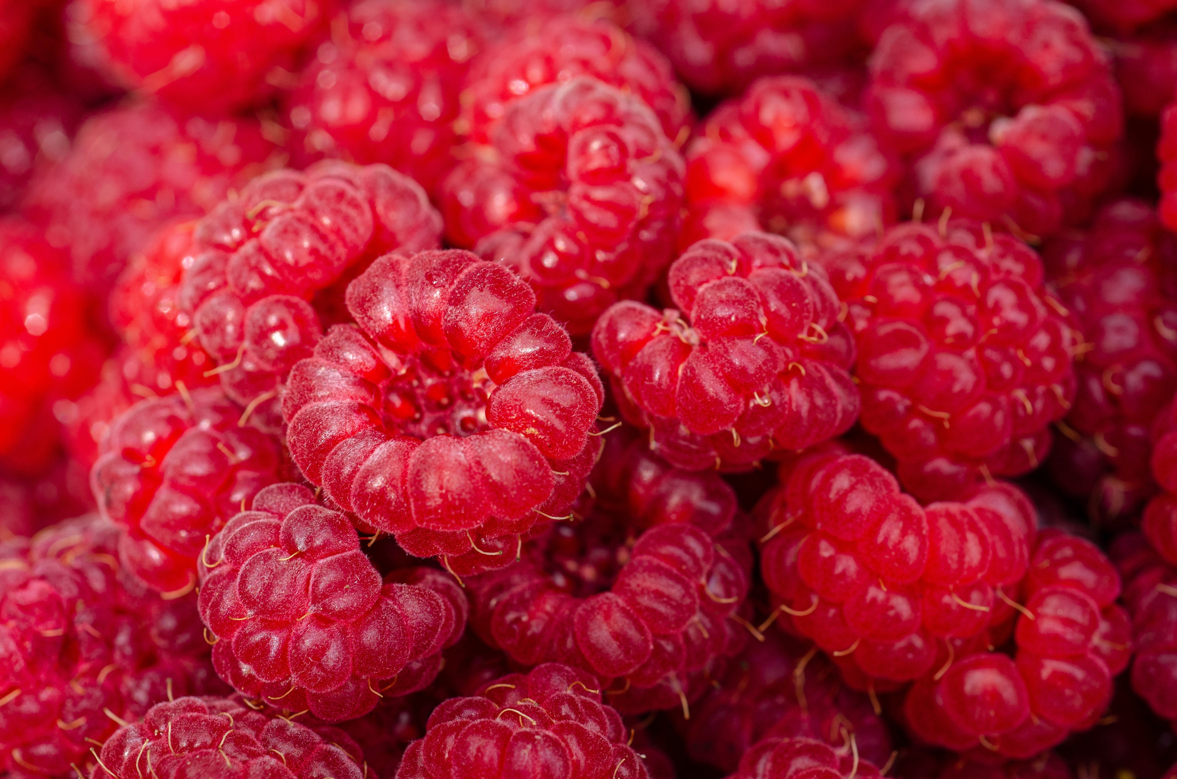 Bio Himbeeren, Portion ca. 90g
