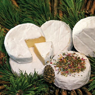 Bio Bergkäse 6 Monate gereift, 200 Gramm, Tirol