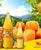 Frucade 12er Tray 0,5l PET