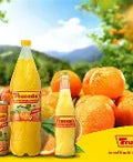Frucade 12er Tray 0,5l PET