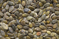 Bio Kürbiskerne 200 Gramm, Österreich